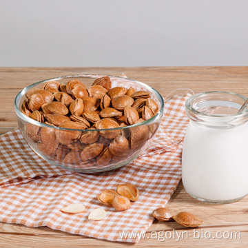 Premium Healthy Snack Roasted Salted Almond Kernels Nuts